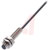 Balluff - BES00CN - 2m PUR cable NPN/NO Flush 1.5mm M8 Inductive Sensor|70376093 | ChuangWei Electronics