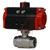 Dwyer Instruments - WE01-IDA04-AC00 - 24 VAC Solenoid 2-Piece NPT Stainless Steel Ball Valve 2-1/2