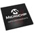 Microchip Technology Inc. - DSPIC33EP256MU810-E/BG - XBGA-121 10X10X1.20 15 DMA 2XCAN USB 60 MHz 28KB RAM 256KB Flash 100-Pins|70047815 | ChuangWei Electronics