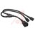 Tripp Lite - P032-002-2C13 - Tripp Lite 2ft AC Power Splitter Cable 14AWG 15A 100V-250V C20 to 2x C13 2'|70590906 | ChuangWei Electronics