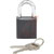 Panduit - PSL-7BL - Shackle .25D 1.04H .79W Black Anodized Aluminum Body 1.60H 1.50W PadLock|70386699 | ChuangWei Electronics