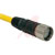 TURCK - CSM CKM 12-12-3/S101 - Male Cordset - Cordset M23 M23 Female|70035397 | ChuangWei Electronics